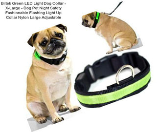 Biltek Green LED Light Dog Collar - X-Large - Dog Pet Night Safety Fashionable Flashing Light Up Collar Nylon Large Adjustable