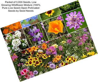 Packet of 3,000 Seeds, Low Growing Wildflower Mixture (100% Pure Live Seed) Open Pollinated Seeds by Seed Needs