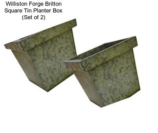 Williston Forge Britton Square Tin Planter Box (Set of 2)