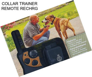 COLLAR TRAINER REMOTE RECHRG