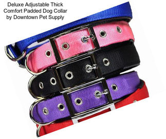 Deluxe Adjustable Thick Comfort Padded Dog Collar by Downtown Pet Supply