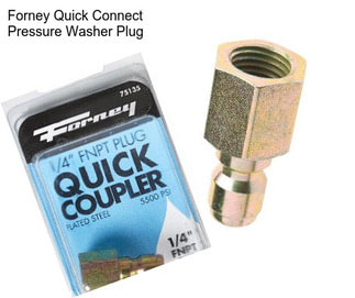 Forney Quick Connect Pressure Washer Plug