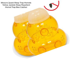 Mosunx 2pack Wasp Trap Hornets Yellow Jackets Wasp Repellent Hornet Trap Bee Catcher