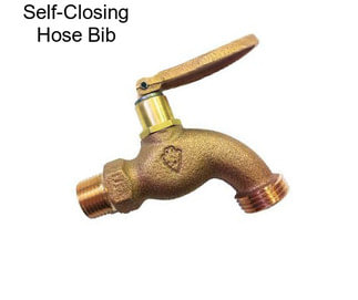 Self-Closing Hose Bib