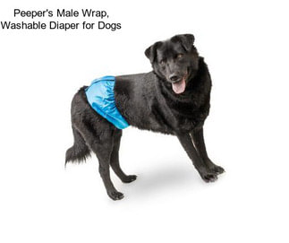 Peeper\'s Male Wrap, Washable Diaper for Dogs