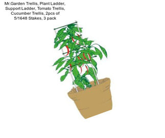 Mr.Garden Trellis, Plant Ladder, Support Ladder, Tomato Trellis, Cucumber Trellis, 2pcs of 5/16\
