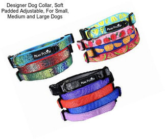 Designer Dog Collar, Soft Padded Adjustable, For Small, Medium and Large Dogs