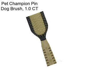 Pet Champion Pin Dog Brush, 1.0 CT