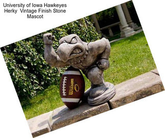 University of Iowa Hawkeyes Herky  Vintage Finish Stone Mascot