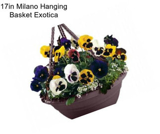 17in Milano Hanging Basket Exotica