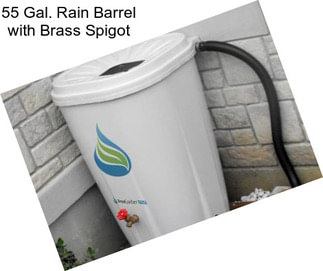 55 Gal. Rain Barrel with Brass Spigot