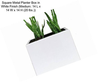 Square Metal Planter Box in White Finish (Medium: 14 L x 14 W x 14 H (20 lbs.))