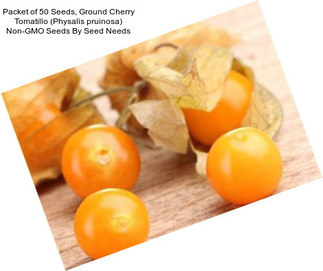Packet of 50 Seeds, Ground Cherry Tomatillo (Physalis pruinosa) Non-GMO Seeds By Seed Needs