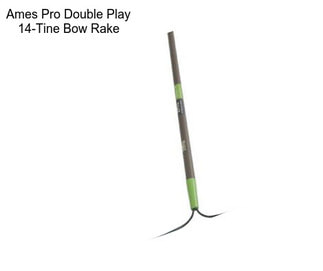 Ames Pro Double Play 14-Tine Bow Rake