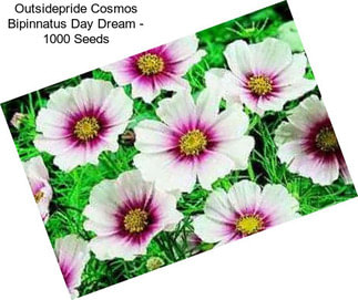 Outsidepride Cosmos Bipinnatus Day Dream - 1000 Seeds