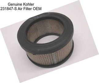 Genuine Kohler 231847-S Air Filter OEM