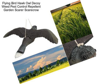 Flying Bird Hawk Owl Decoy Weed Pest Control Repellent Garden Scarer Scarecrow