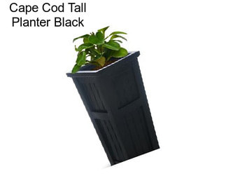 Cape Cod Tall Planter Black