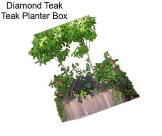Diamond Teak Teak Planter Box