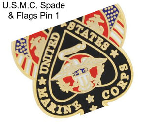 U.S.M.C. Spade & Flags Pin 1\