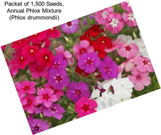 Packet of 1,500 Seeds, Annual Phlox Mixture (Phlox drummondii)