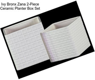 Ivy Bronx Zana 2-Piece Ceramic Planter Box Set