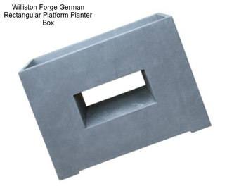 Williston Forge German Rectangular Platform Planter Box