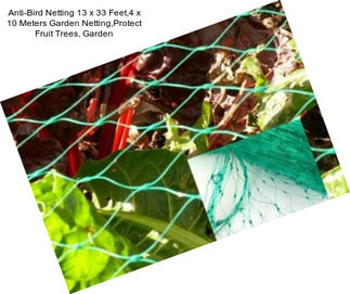 Anti-Bird Netting 13 x 33 Feet,4 x 10 Meters Garden Netting,Protect Fruit Trees, Garden