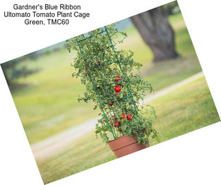 Gardner\'s Blue Ribbon Ultomato Tomato Plant Cage Green, TMC60