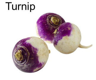 Turnip