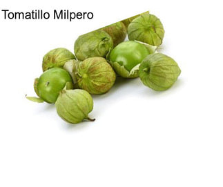 Tomatillo Milpero
