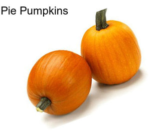 Pie Pumpkins