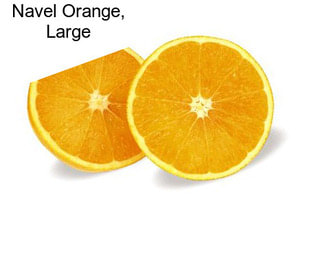 Navel Orange, Large