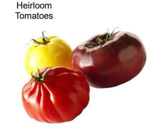 Heirloom Tomatoes