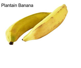 Plantain Banana