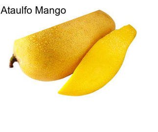 Ataulfo Mango