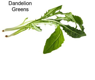 Dandelion Greens