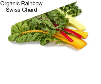 Organic Rainbow Swiss Chard