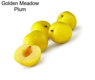 Golden Meadow Plum