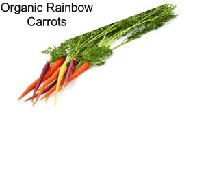 Organic Rainbow Carrots