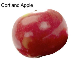 Cortland Apple