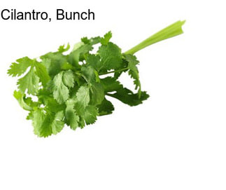 Cilantro, Bunch