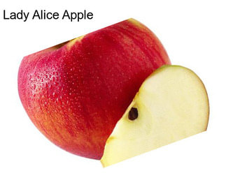 Lady Alice Apple