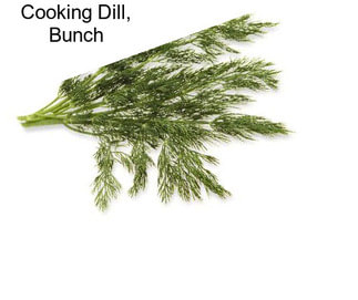 Cooking Dill, Bunch