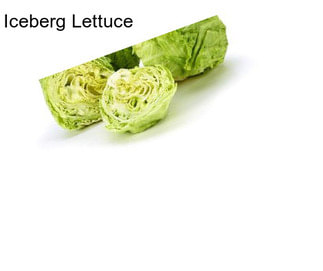 Iceberg Lettuce