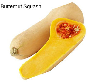 Butternut Squash