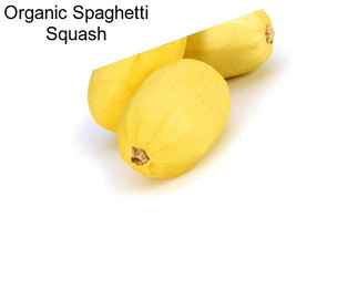 Organic Spaghetti Squash