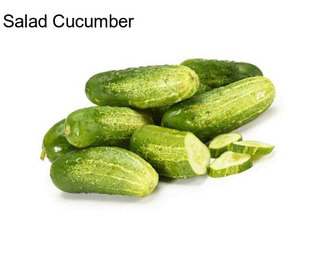 Salad Cucumber