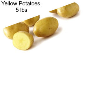 Yellow Potatoes, 5 lbs
