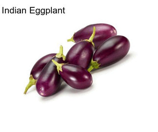 Indian Eggplant